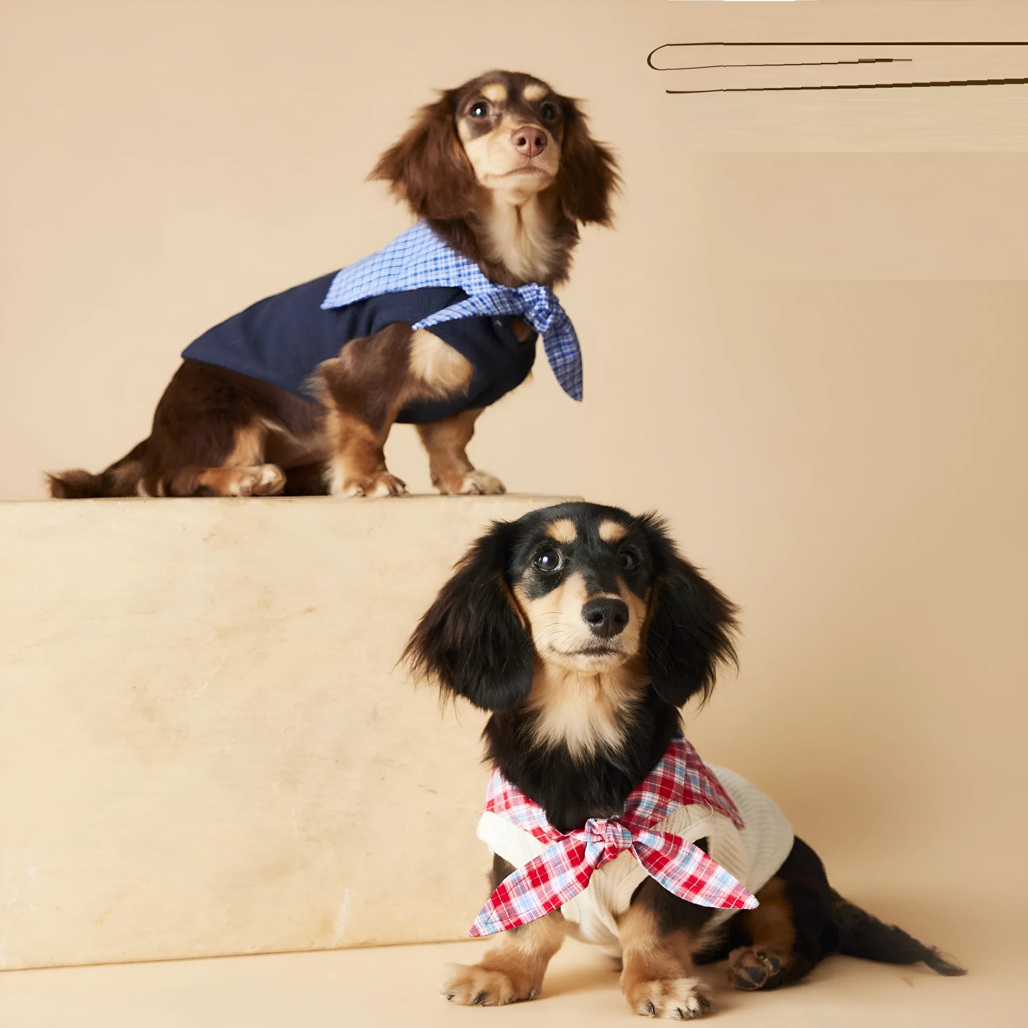 Sailor collar sleeveless dog vest in beige polyester, side view on a small breed dog