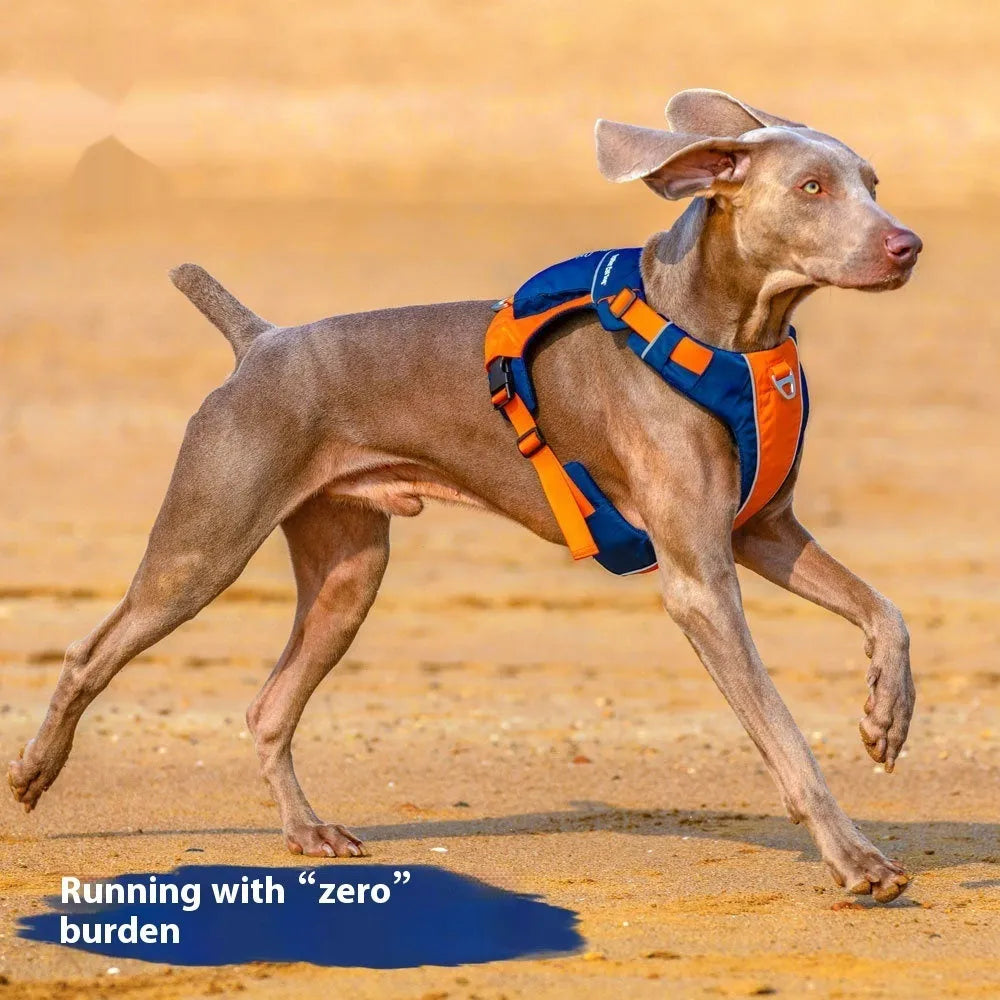 Orange blue nylon dog vest harness with hand rope attachment on single chest back design