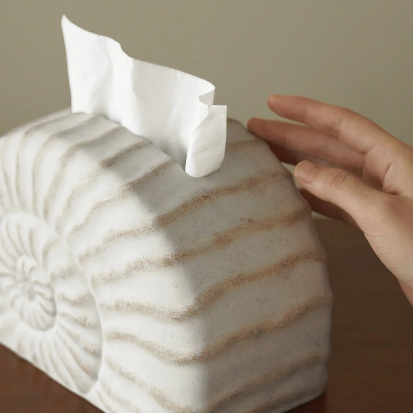 Modern conch shell shaped resin tissue box cover in a conch ramble colour.