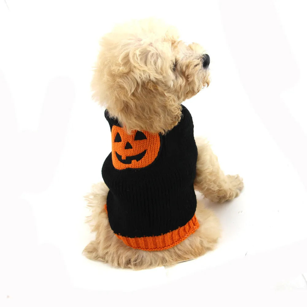 Pet Halloween dog knitted pumpkin sweater in orange with black pumpkin detail on a white background
