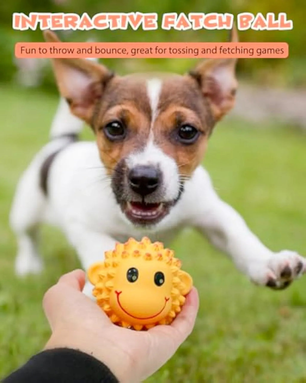 Orange and yellow spiky natural latex squeaky dog toy ball for small and medium breeds