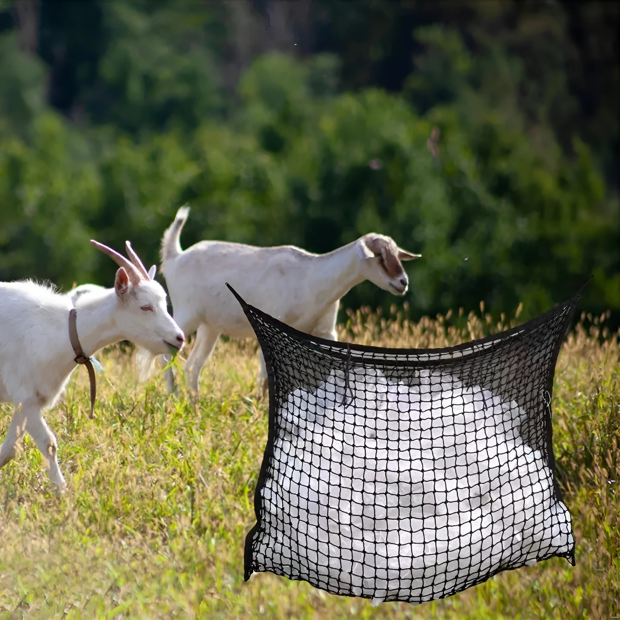 Woven polyethylene rope grid horse feeding bag hanging with black colour option