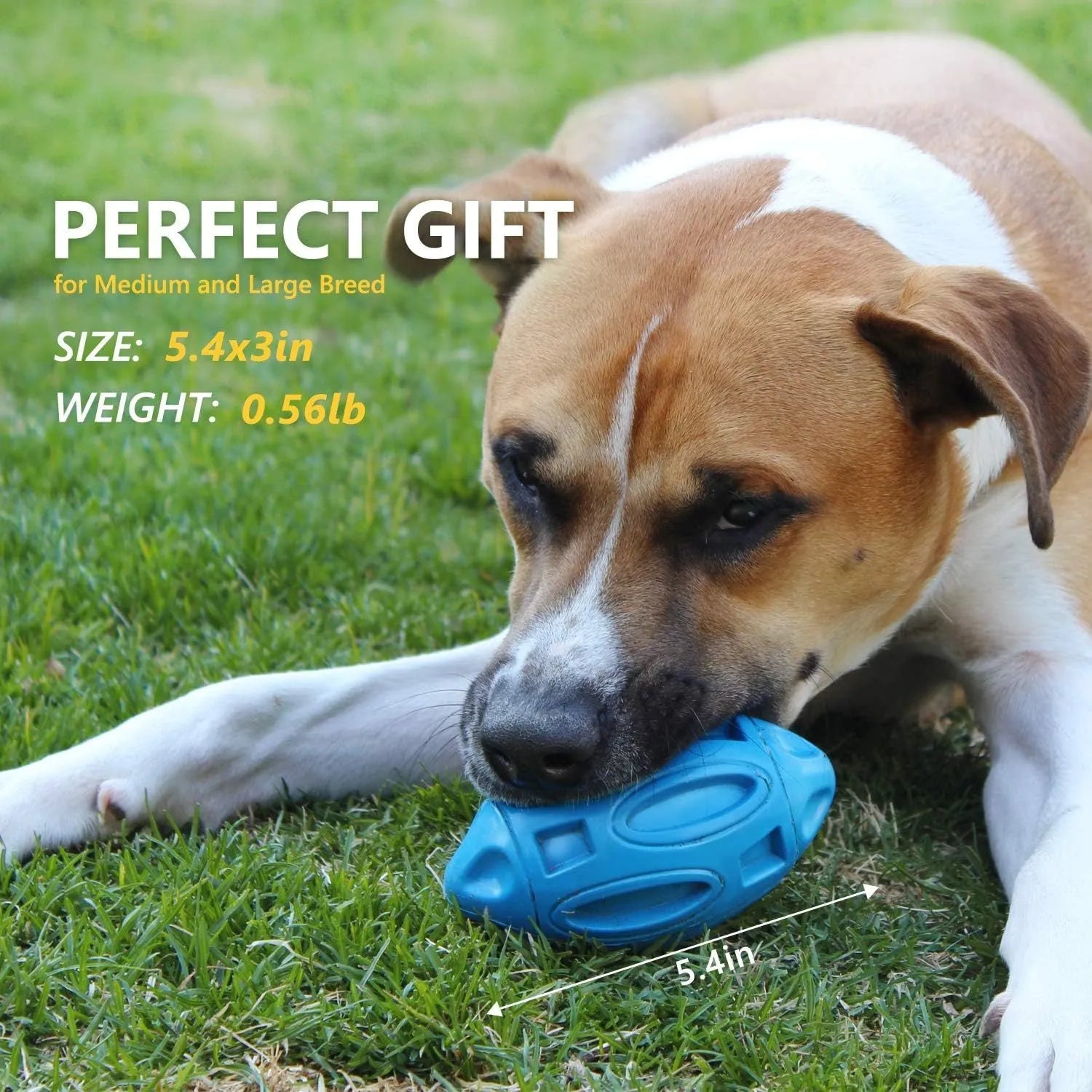 Blue, green, and orange natural rubber squeaky dog ball with textured surface grooves.