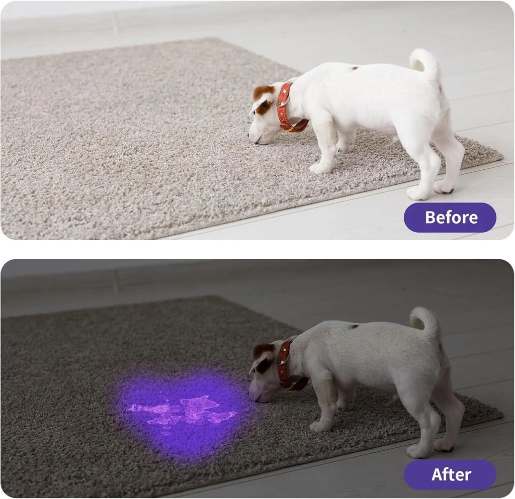 Black aluminium UV flashlight with purple LED for detecting stains and pests.