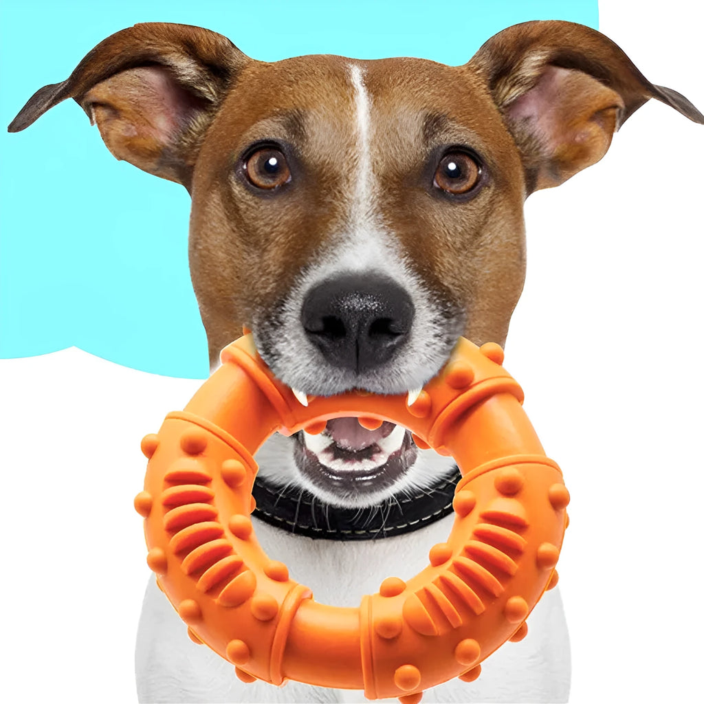 Blue hollow-centre dog fetching stick toy for catch games with puppy