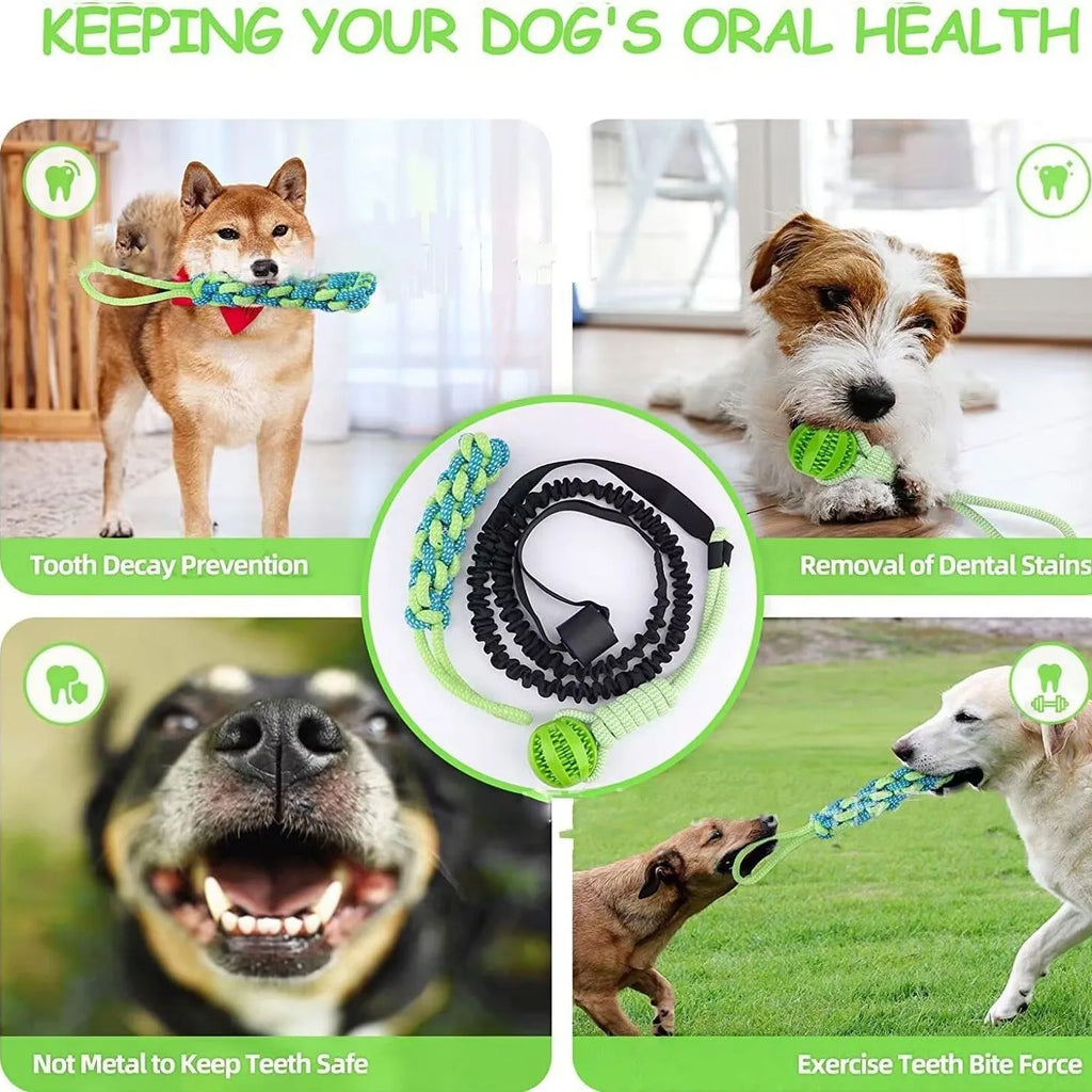 Braided cotton dog tug rope toy with multiple knots in green corncob design