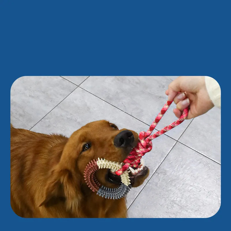 Blue braided rope dog toy with knots for tugging and chewing by a medium-sized dog