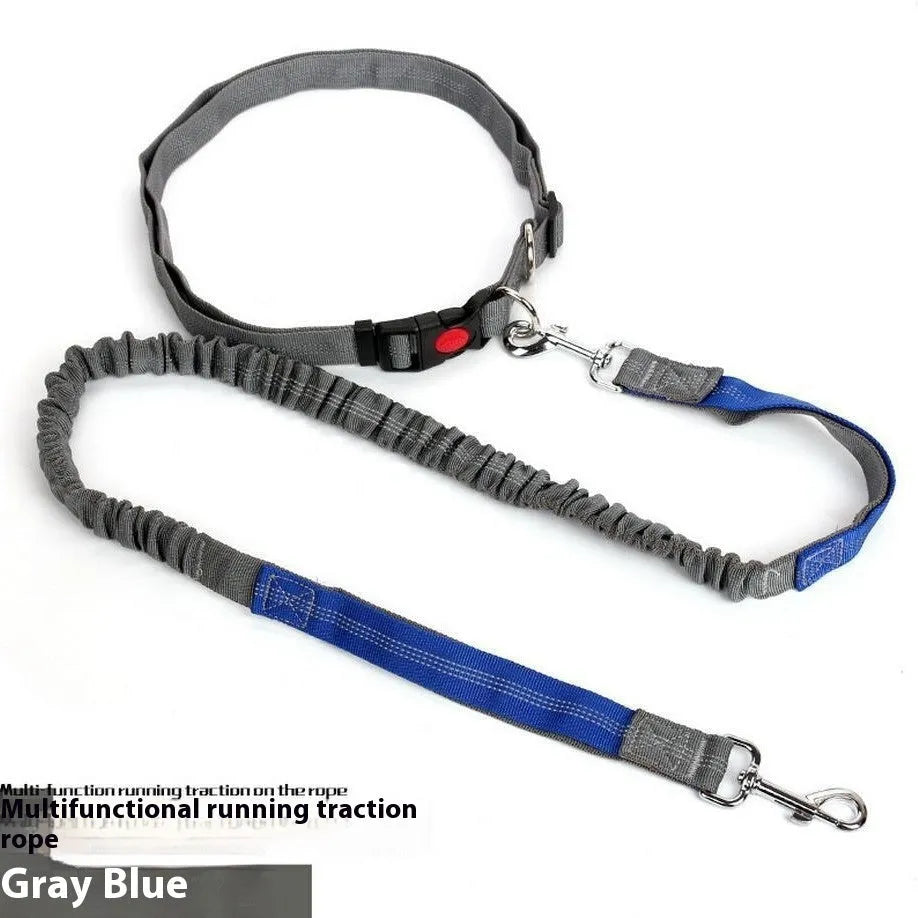 Grey and green two-tone nylon dog leash with reflective strip, showing 2.5cm width and clip.