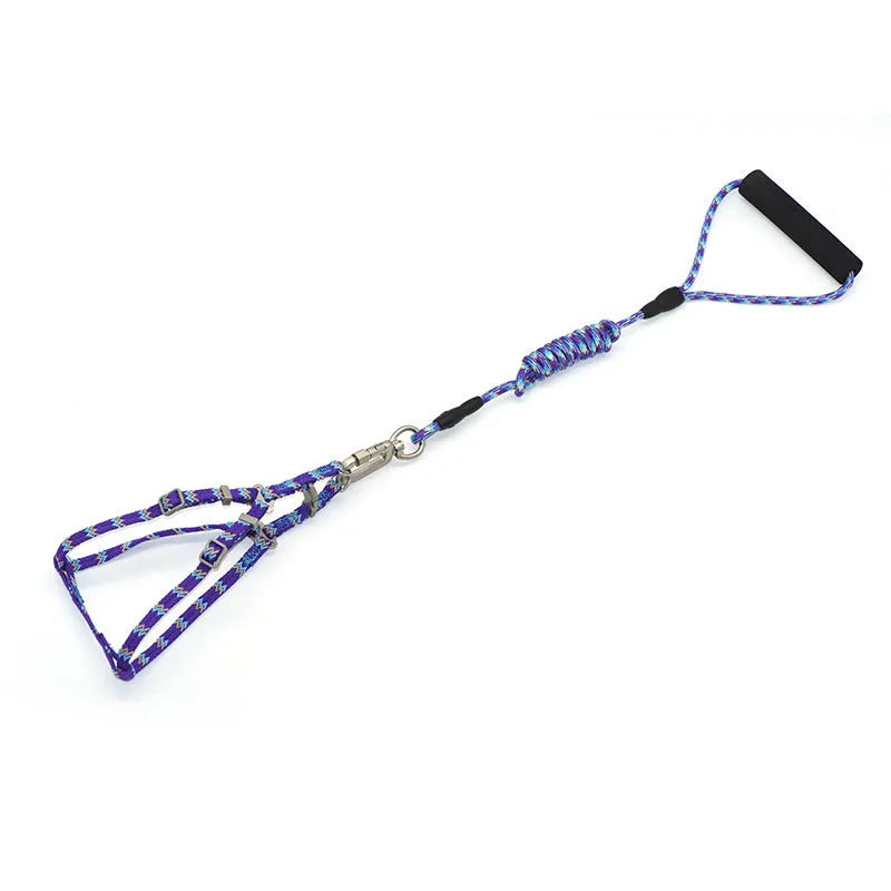 Pet climbing harness in blue nylon with foam handle and circular rope, laid flat