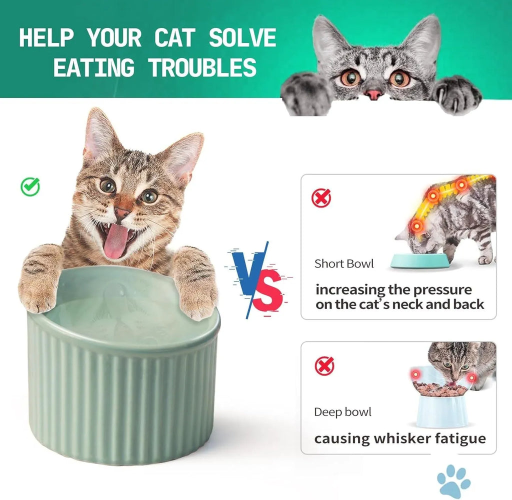 Round ceramic elevated cat bowl in green colour on a table