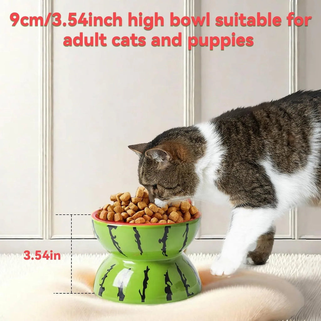 Ceramic raised cat bowl with tilted wide dish on elevated 5-inch stand