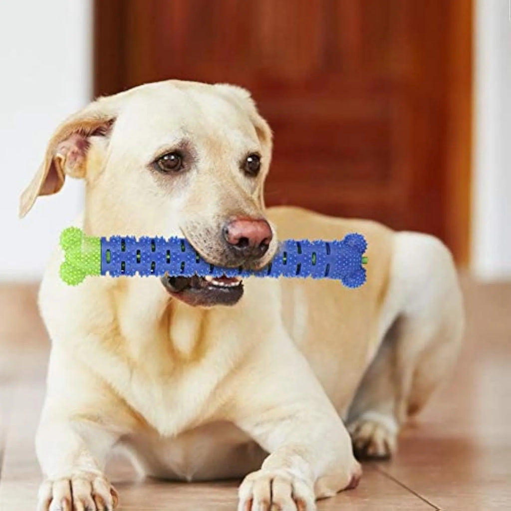 Blue green silicone dog toothbrush toy with serrated brush head for dental cleaning