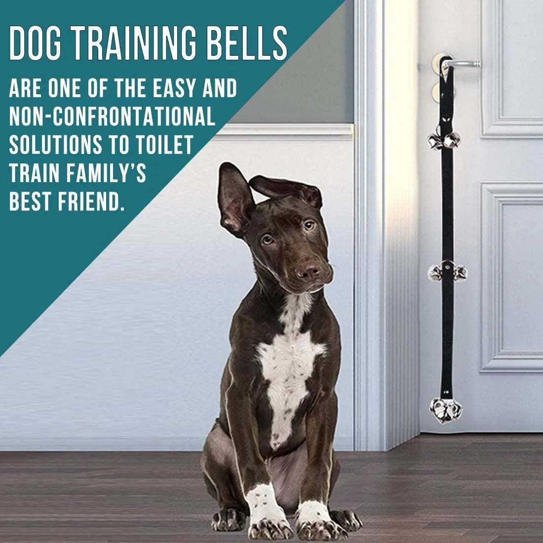 Seven silver metal dog training bells on a black adjustable nylon strap hanging from a door handle.