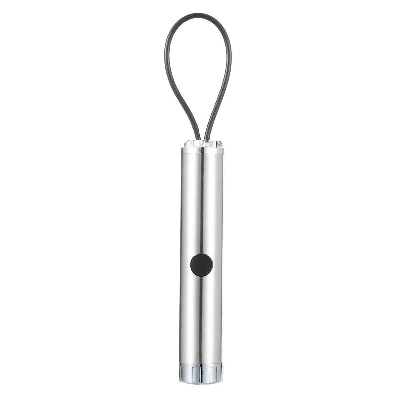 Silver stainless steel laser pen cat toy with four light spot patterns