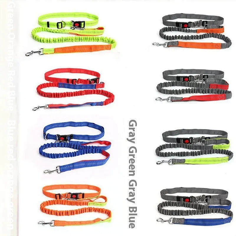 Grey and green two-tone nylon dog leash with reflective strip, showing 2.5cm width and clip.