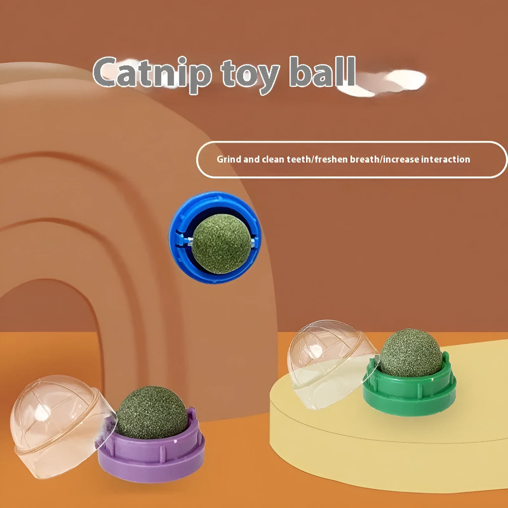 Plastic catnip ball toy in various colours for feline dental care and play