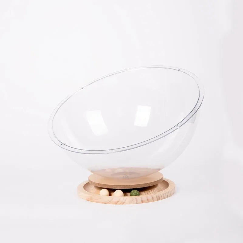 Transparent acrylic cat space capsule bed with bathtub design in multiple size options