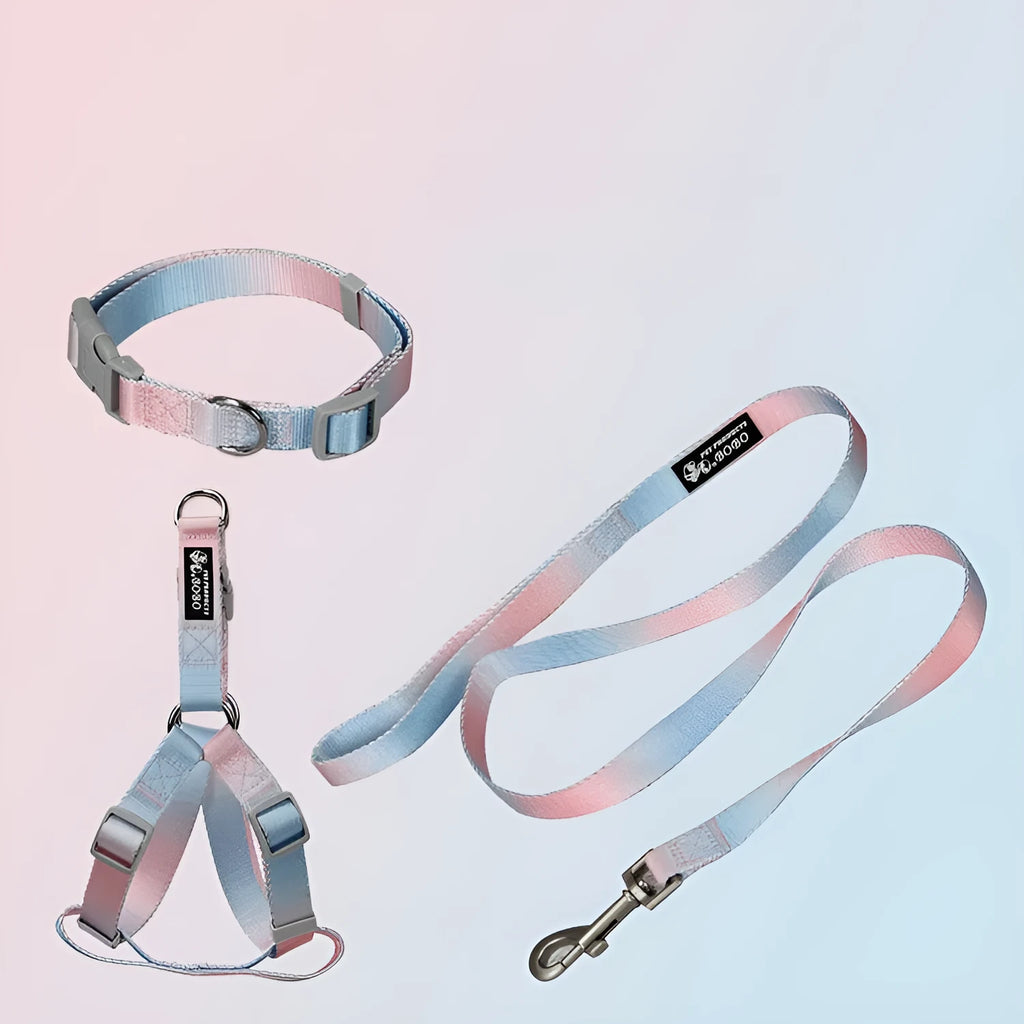 Gradient colour pet leash set showing nylon collar, chest strap and bracelet in pink and blue colour combination