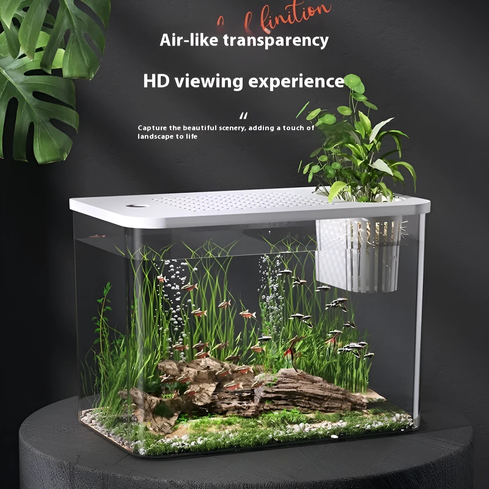 Black ecological betta fish tank with cover measuring 32cm length for desktop aquarium display