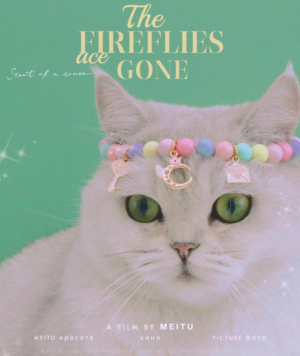 Colourful macaron-themed resin collar and bracelet set for pets on a pastel background.