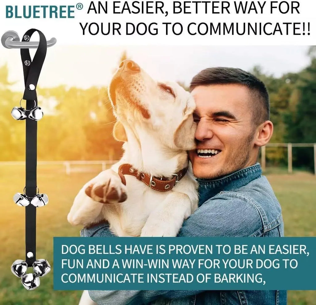 Seven silver metal dog training bells on a black adjustable nylon strap hanging from a door handle.