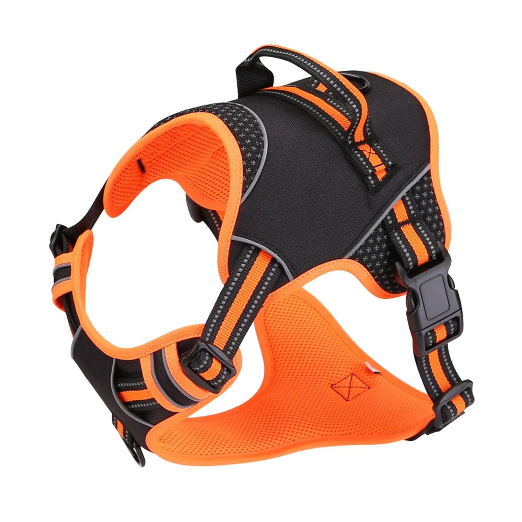 Yellow and orange polyester dog harness traction strap set for outdoor training.