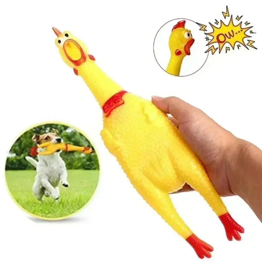 Yellow rubber screaming chicken dog toy in three sizes for chew and play