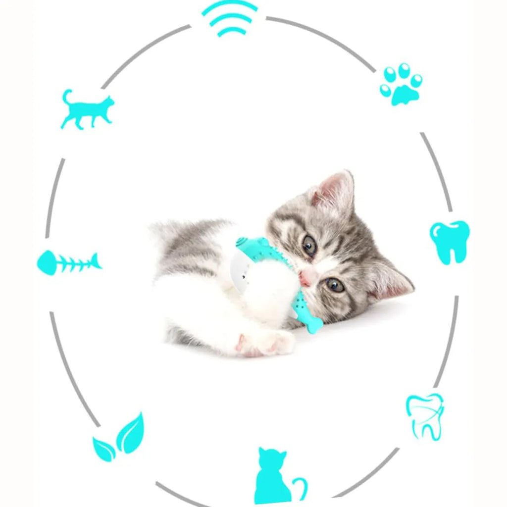 Mint Toys colourful silicone fish-shaped cat chew toy with integrated toothbrush on a white background.