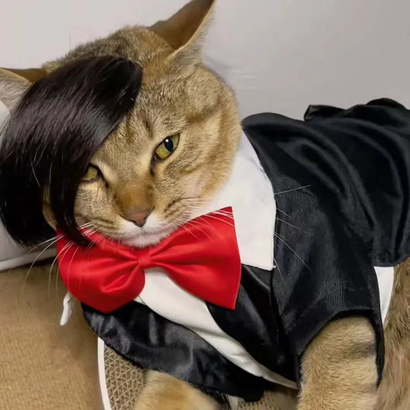 Black polyester cat wig with imitation braid styling for fox costume dress up