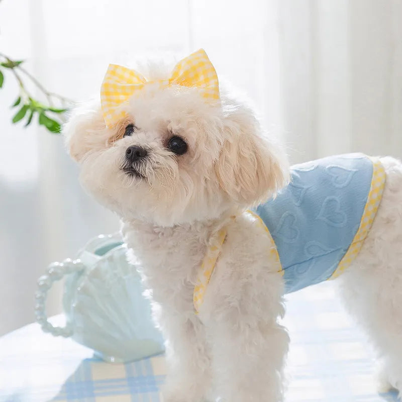 Small dog wearing heart texture vest with bow suspenders in Bondi Blue