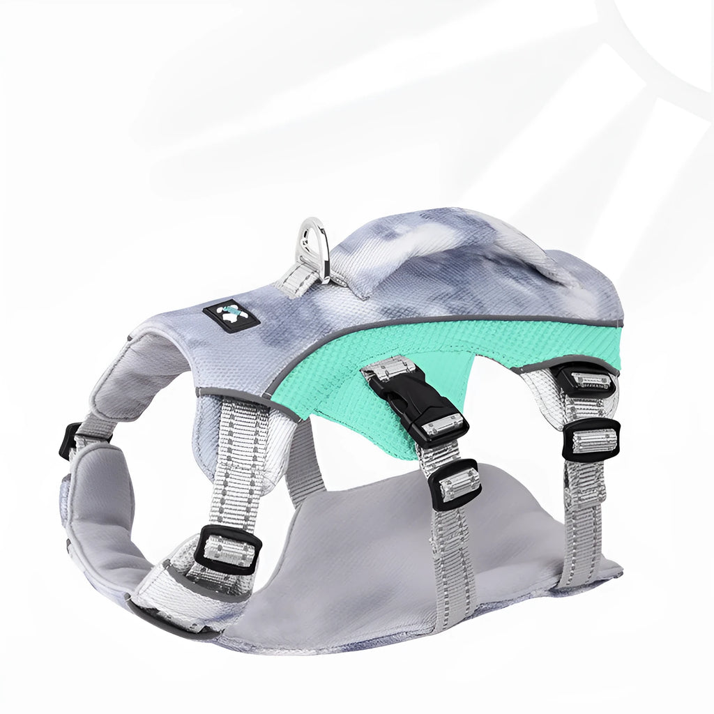 Reflective polyester dog chest strap harness in light blue, shown on a dog