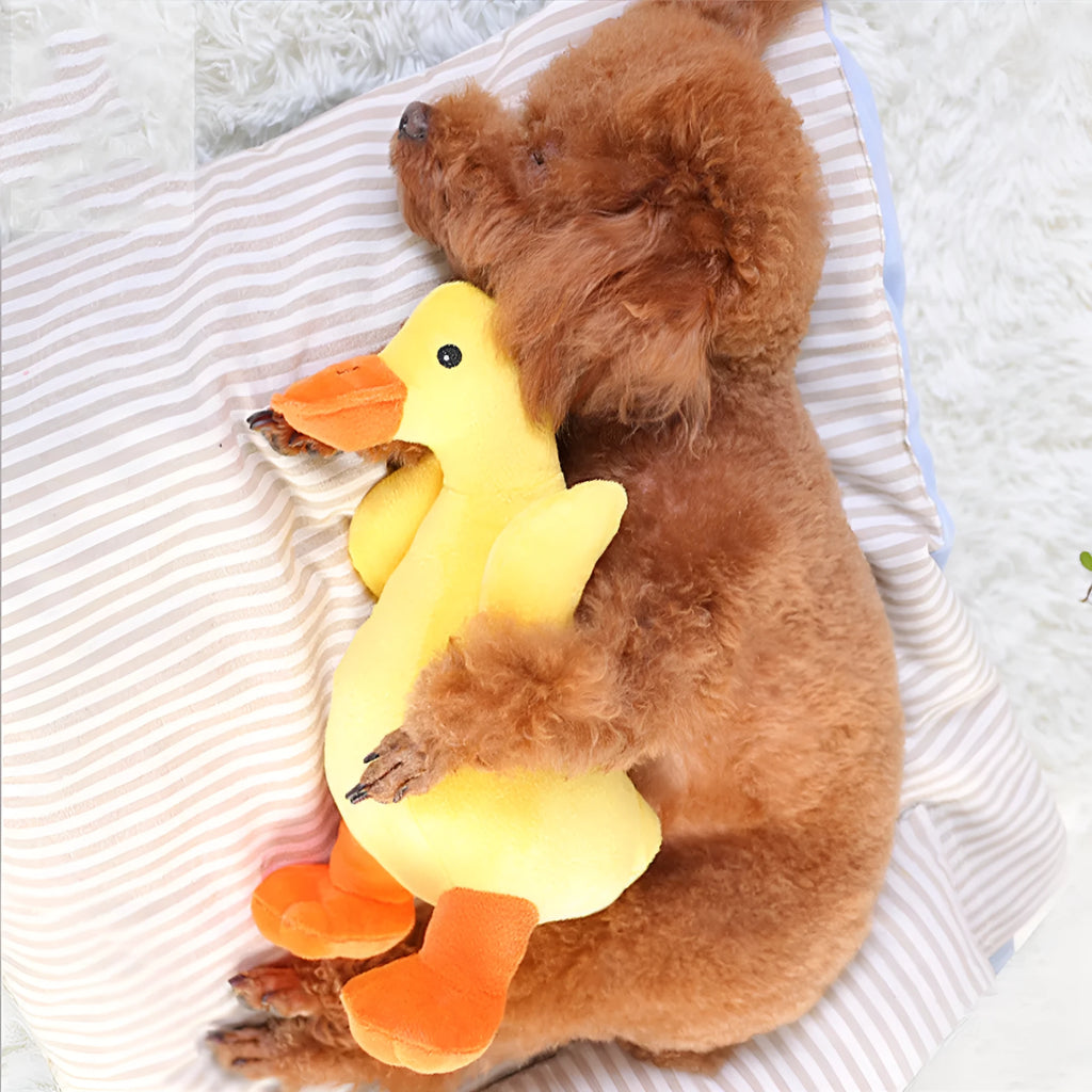 Yellow dog plush toy with fat body and innocent eyes from Huayuan Pet