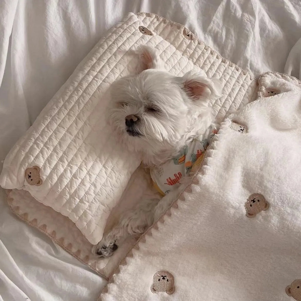 Fashion square mat removable washable dog bed set with pillow mattress quilt, simple bear design, size S and M options