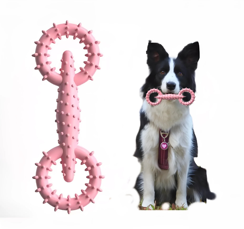 Blue TPR dog chew toy ring measuring 16cm for puppy teething and safe chewing