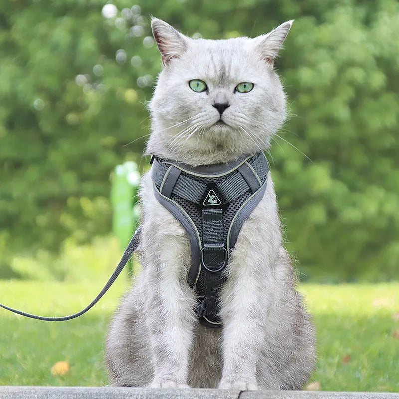 Anti-breakaway cat harness set with 1.5m flat rope lead and silver chain in green, grey, and rose red colours