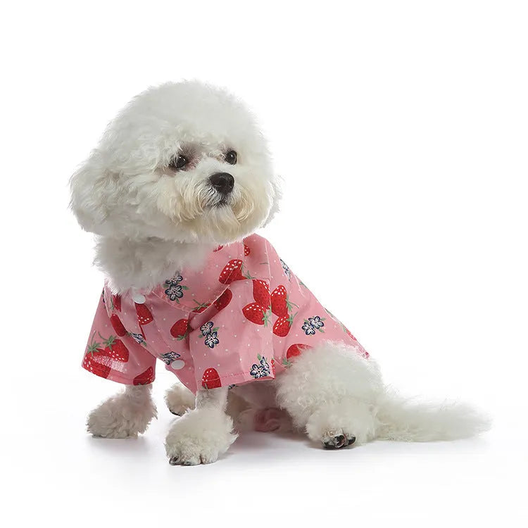 Fruit-themed casual polyester dog clothes in six colours on a small dog, size S to XL available