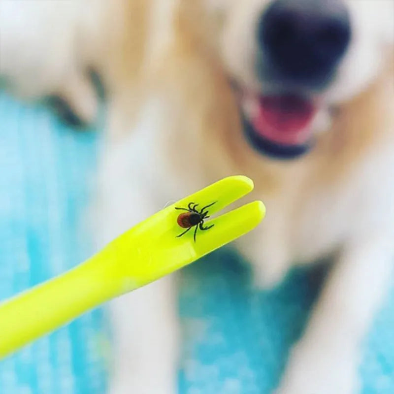 Blue and green plastic pet tick removal hooks, set of 3 pieces.