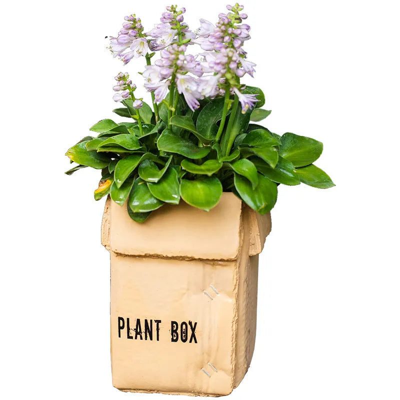 Cement flowerpot with paper carton aesthetic and drainage hole in Nordic style for indoor plants