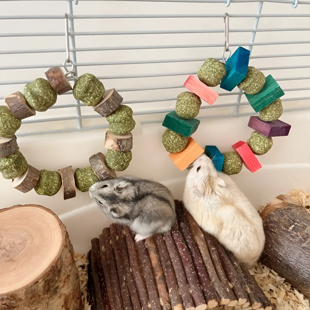 Hamster chew toy with Applewood molar rod and decorative straw ball ring for small pets