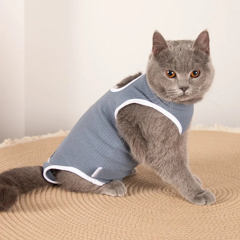 Blue pet sterilization suit with adjustable scarf on a cat, cotton anti-licking clothing for post-surgery recovery.