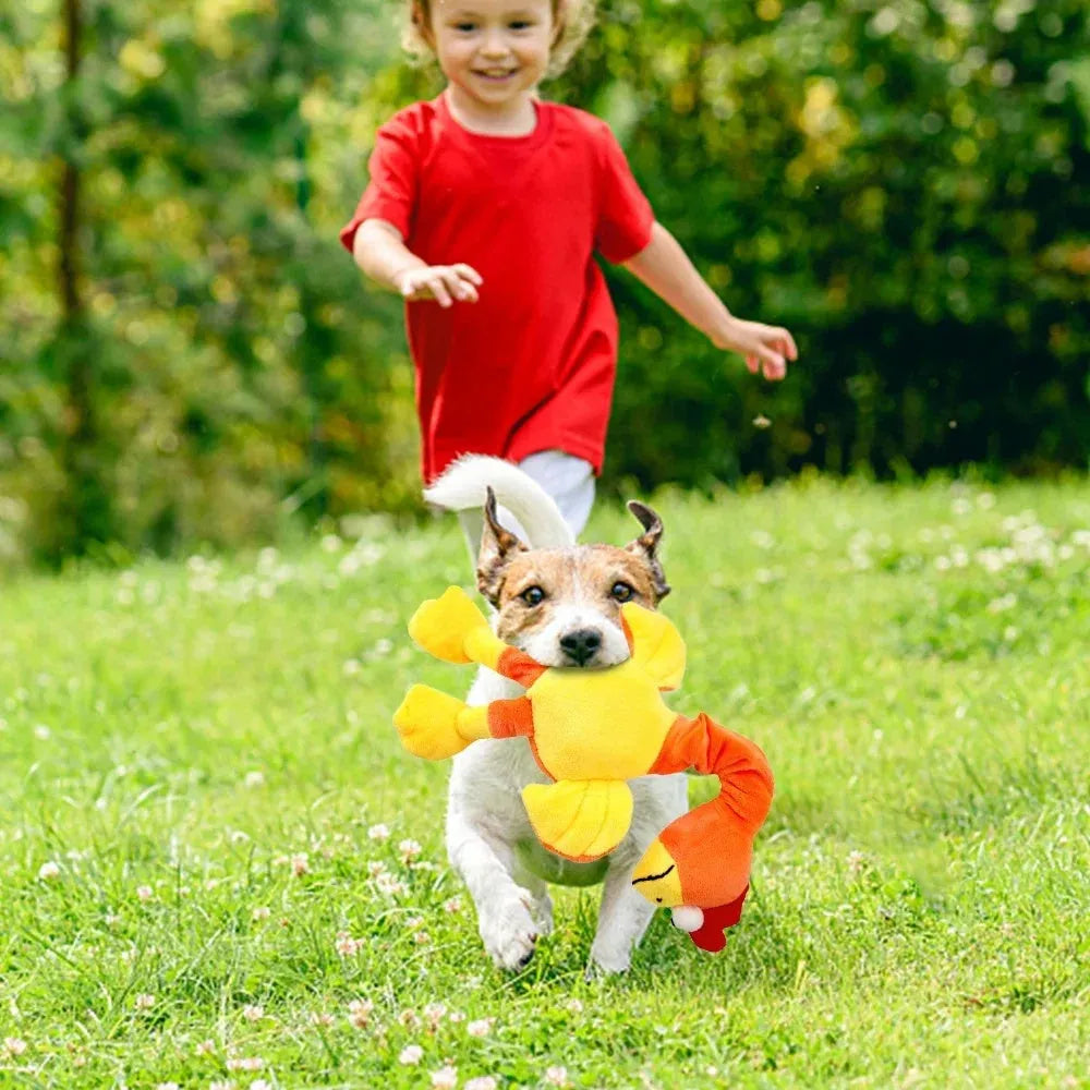 Screaming chicken sound dog chew toy in durable rubber construction