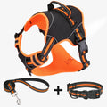 Yellow and orange polyester dog harness traction strap set for outdoor training.