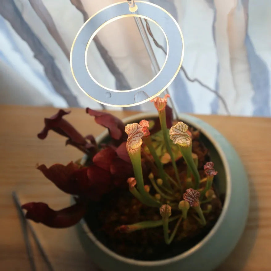 USB LED plant grow light with transparent PC and aluminium housing on a 25cm acrylic stick.