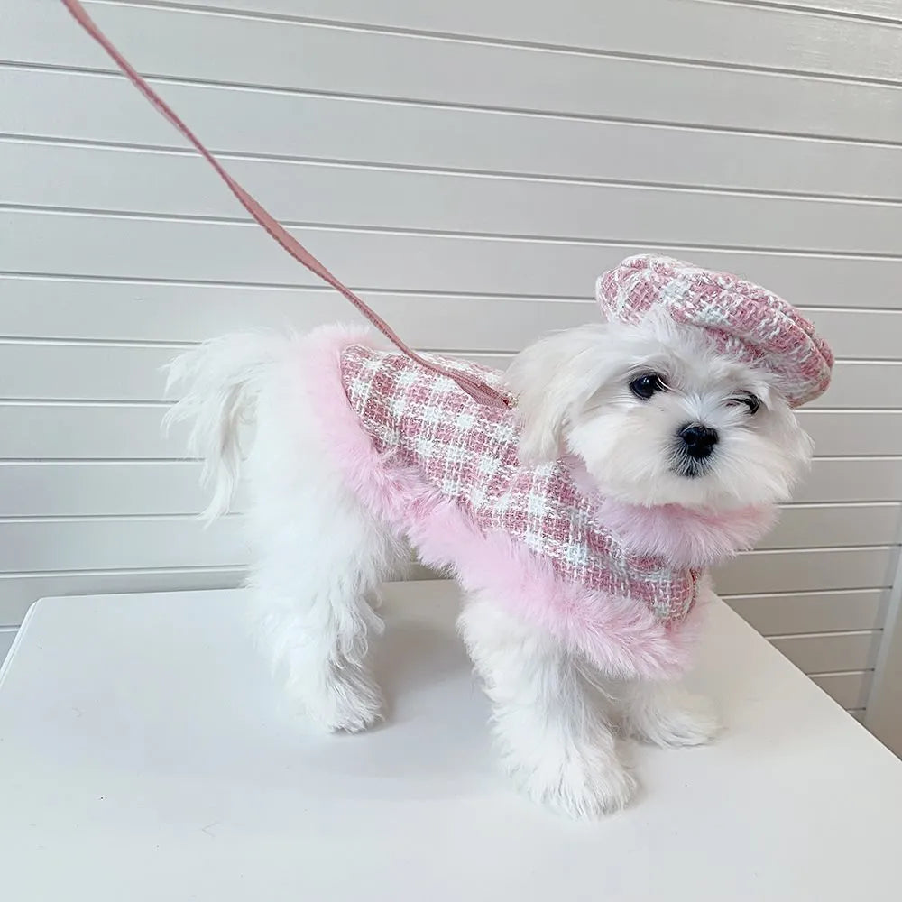 Pink cat clothing set with beret, cloak, and hand-holding rope accessory for female cats