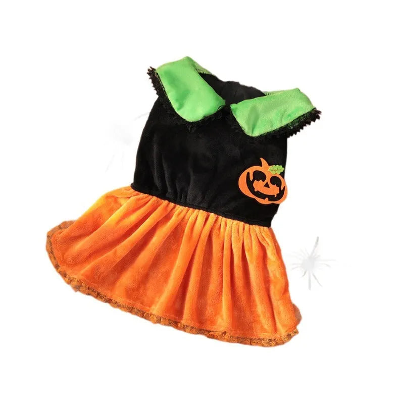 Halloween pet costume for dog or cat, shown as a pumpkin skirt and a sweater in crystal velvet fabric.
