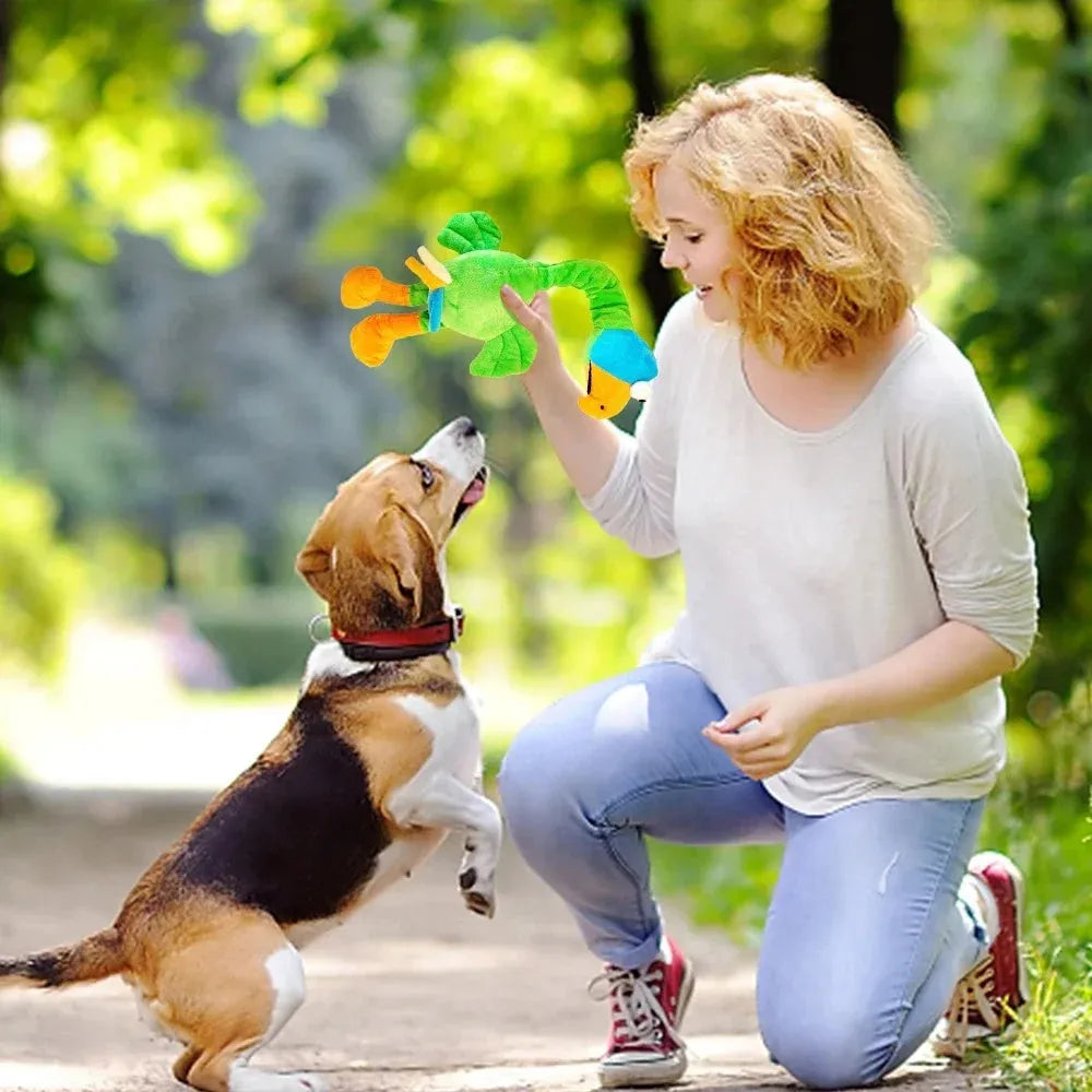 Screaming chicken sound dog chew toy in durable rubber construction