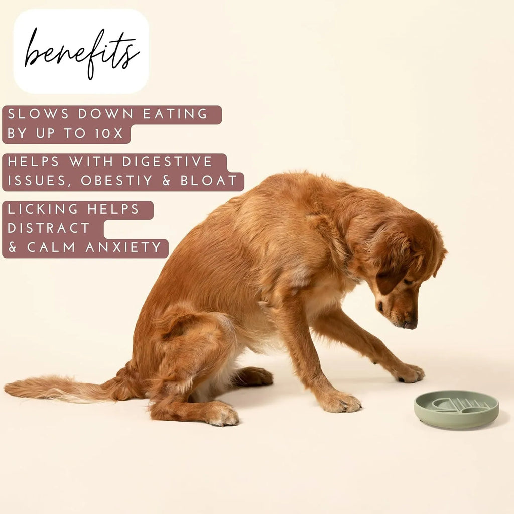 Silicone slow feeder bowl for dogs with ridge design in six colour options
