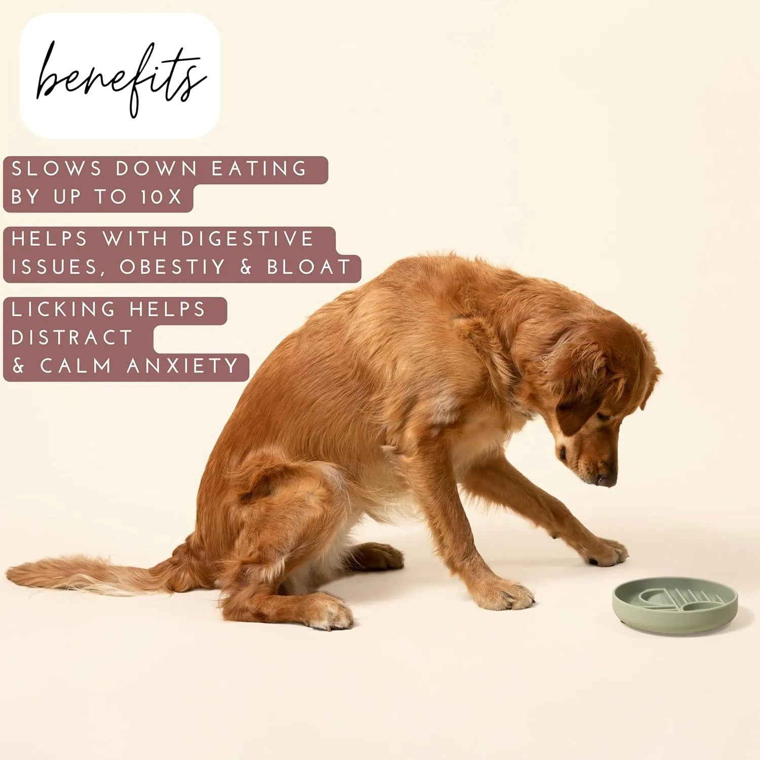Silicone slow feeder bowl for dogs with ridge design in six colour options