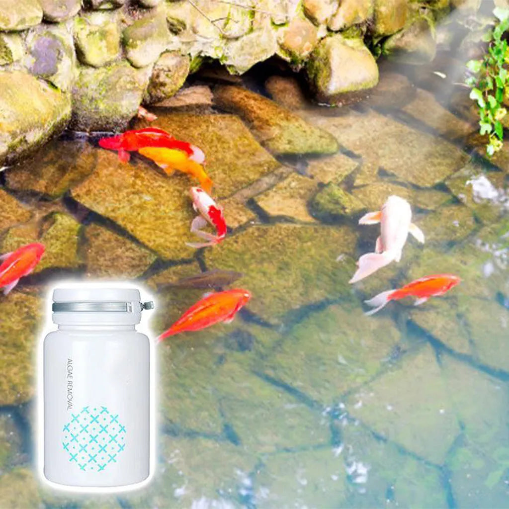 50g swimming pool algaecide bottle for algae and moss removal treatment