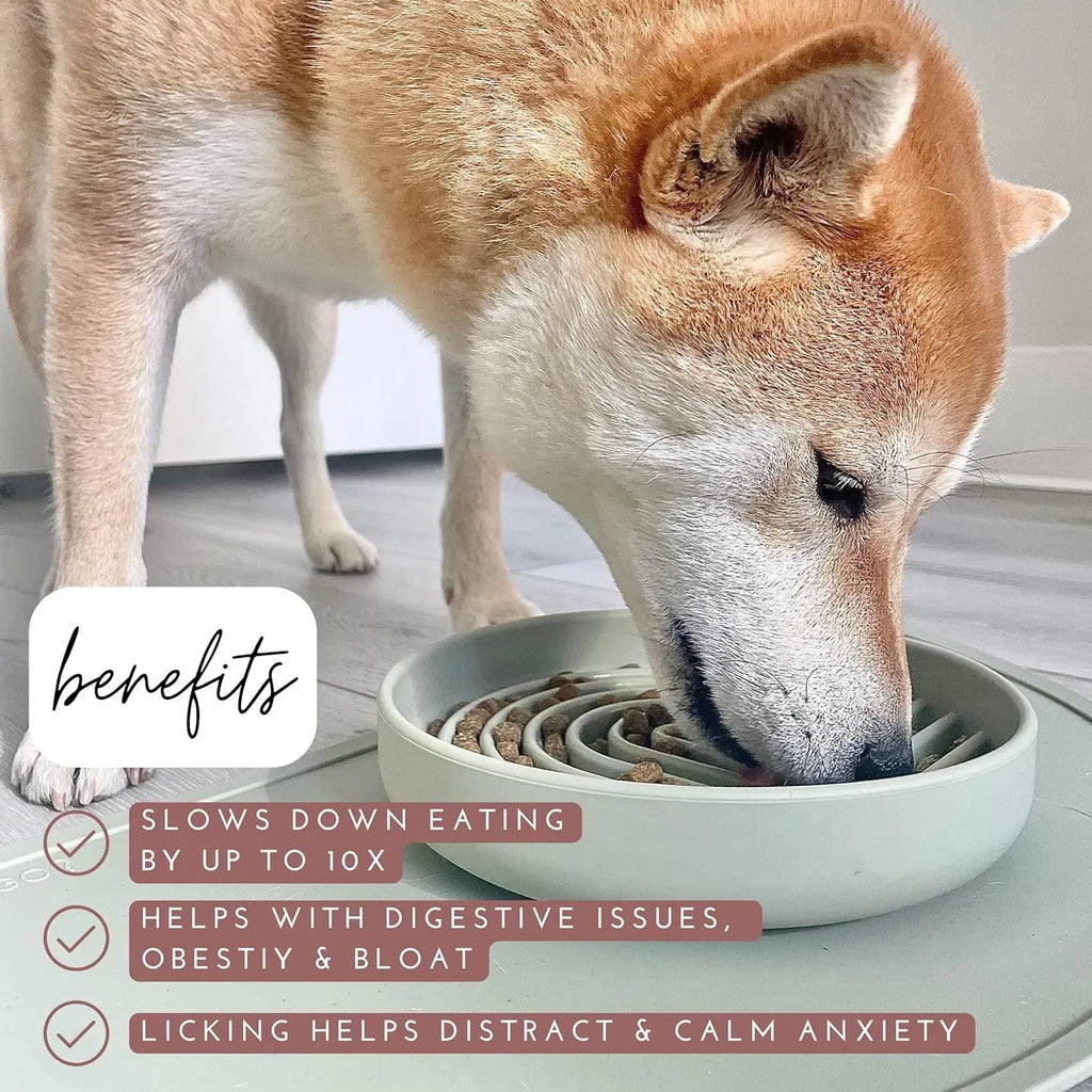 Silicone slow feeder bowl for dogs with ridge design in six colour options